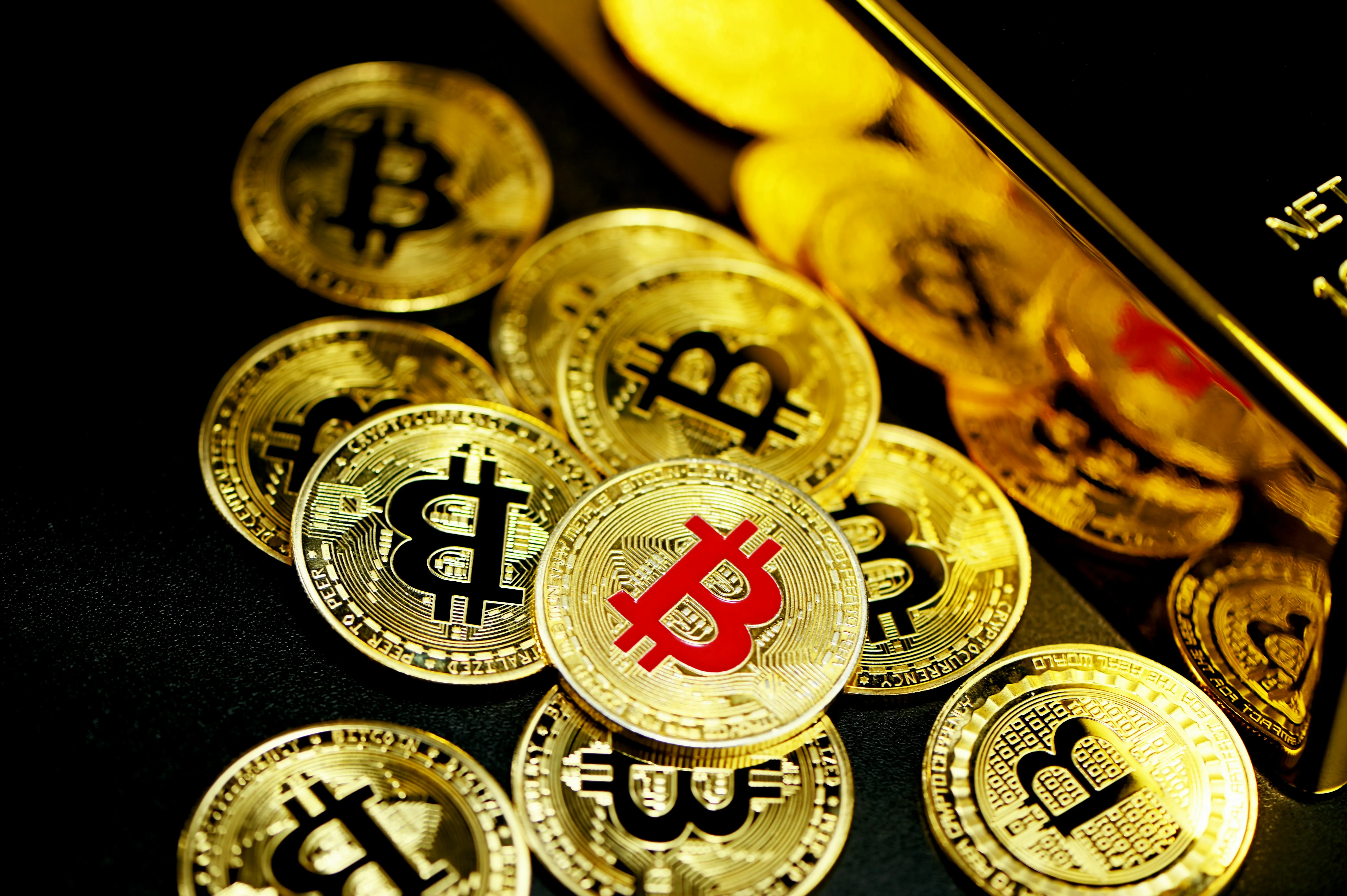 Hướng dẫn đặt cược đá gà Thomo trực tiếp hôm nay